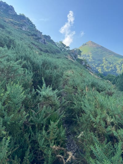 jour3 - Urepel