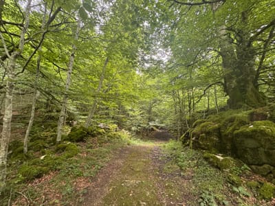 jour3 - GR12, Ursarioko Basoa