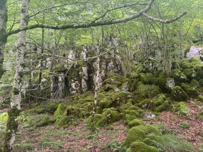 jour3 - GR12, Ursarioko Basoa
