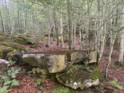 jour3 - GR12, Ursarioko Basoa