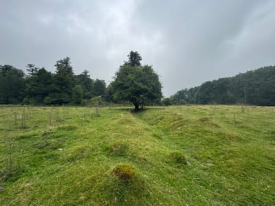 jour3 - GR12, Ursarioko Basoa