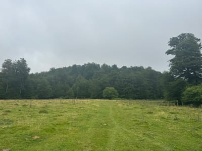 jour3 - GR12, Ursarioko Basoa