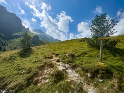 jour7 - Intersection sentier / piste