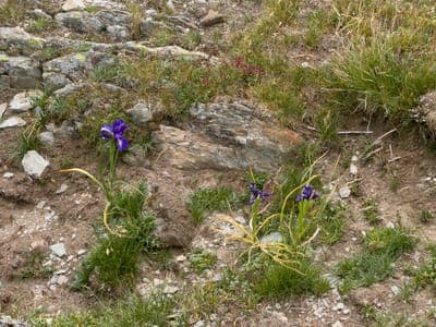 jour7 - Col de Saoubathou