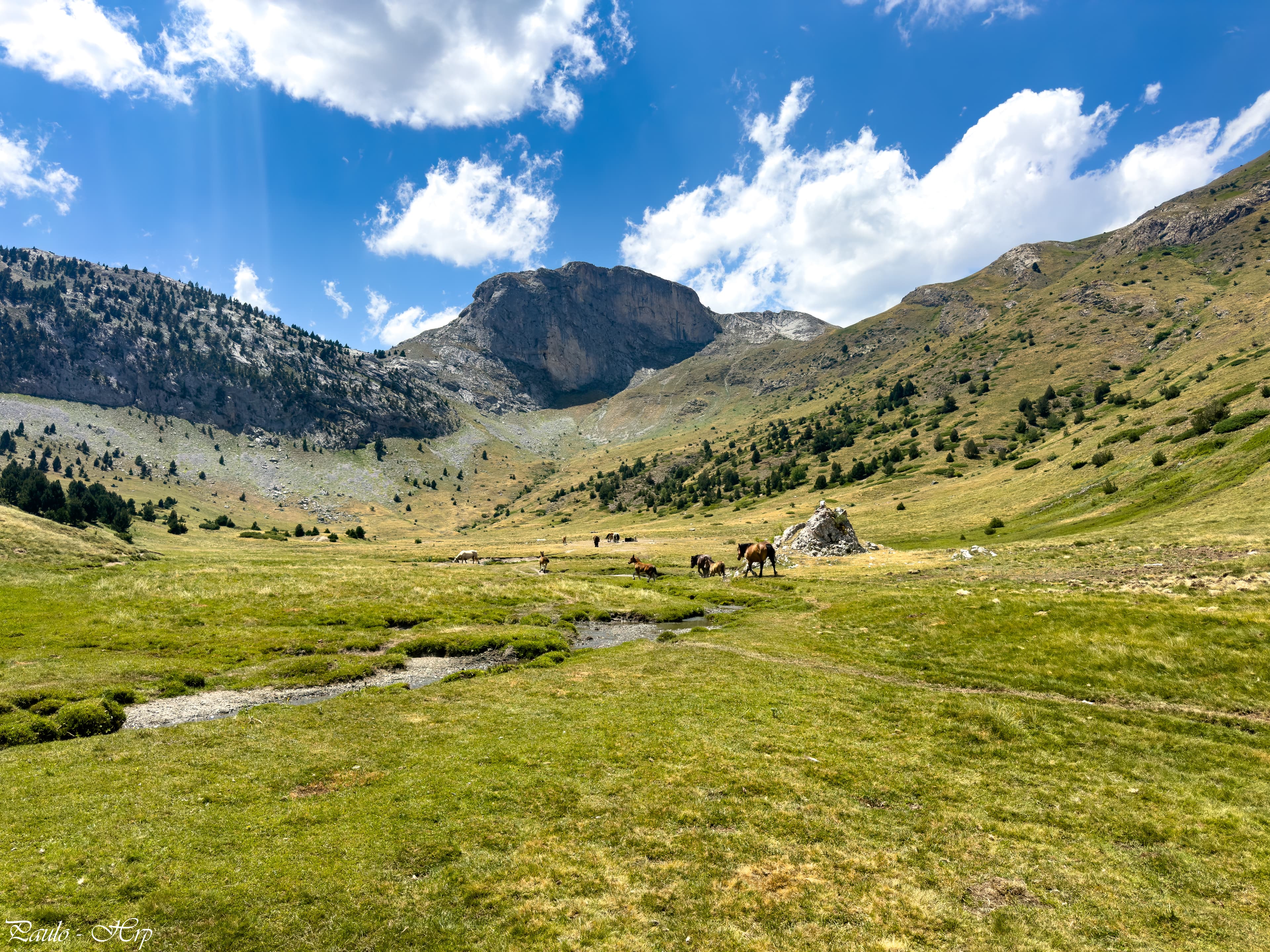 Chevaux du Ministirio