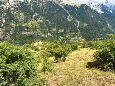jour8 - Du Ministirio à Llano Tornalizas