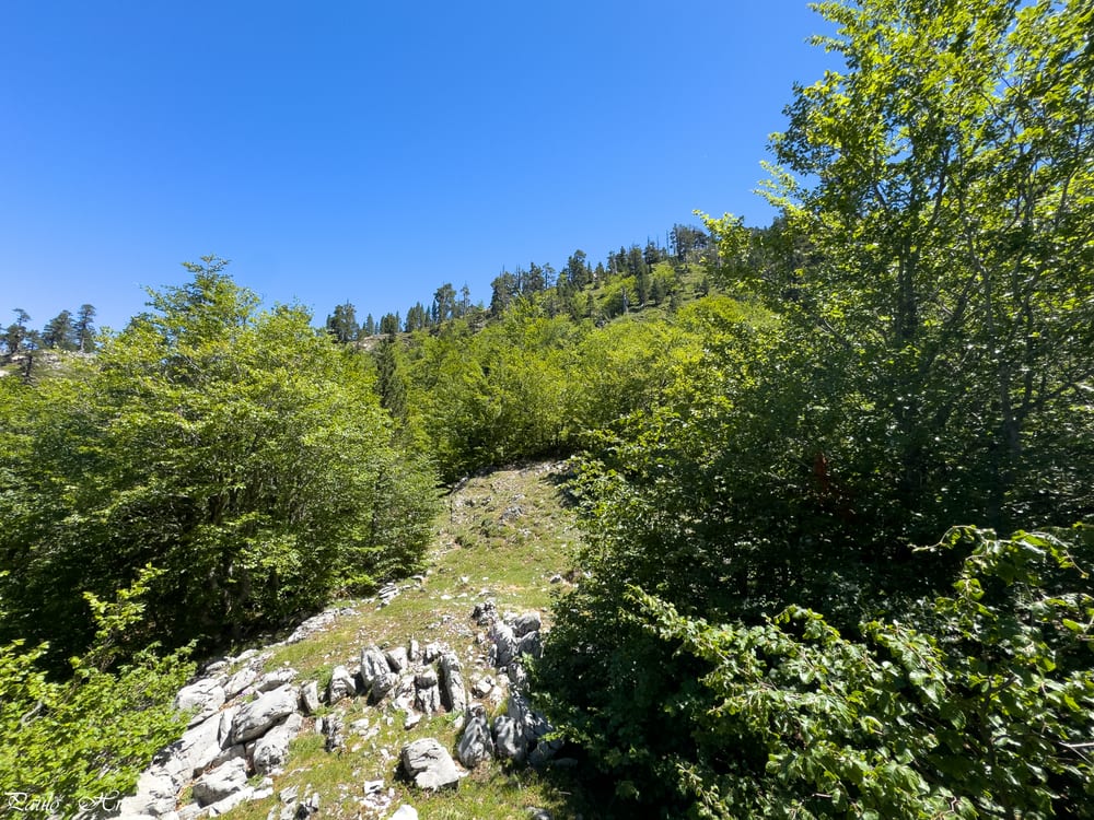 Après deux heures, on émerge enfin au ciel bleu