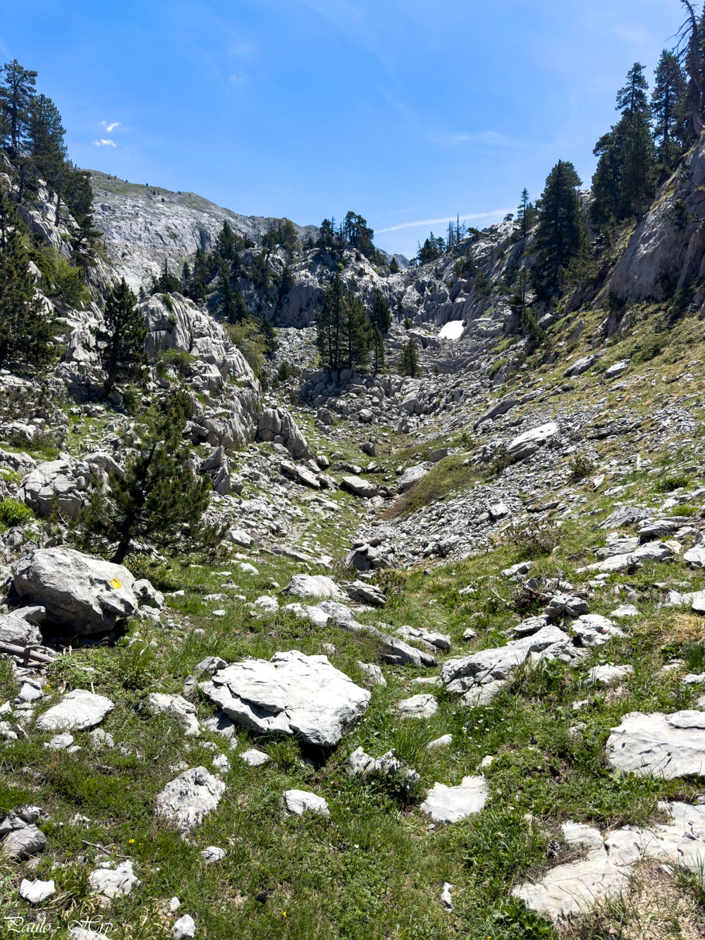 Le chemin est parfaitement balisé dans ce labyrinthe…